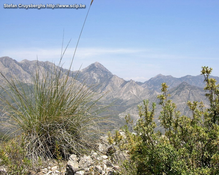 Sierras de Tejeda  Stefan Cruysberghs